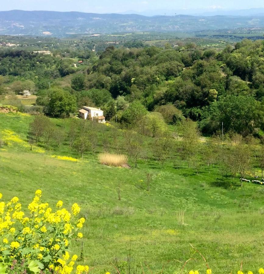 Antico Fienile Villa Celleno Dış mekan fotoğraf
